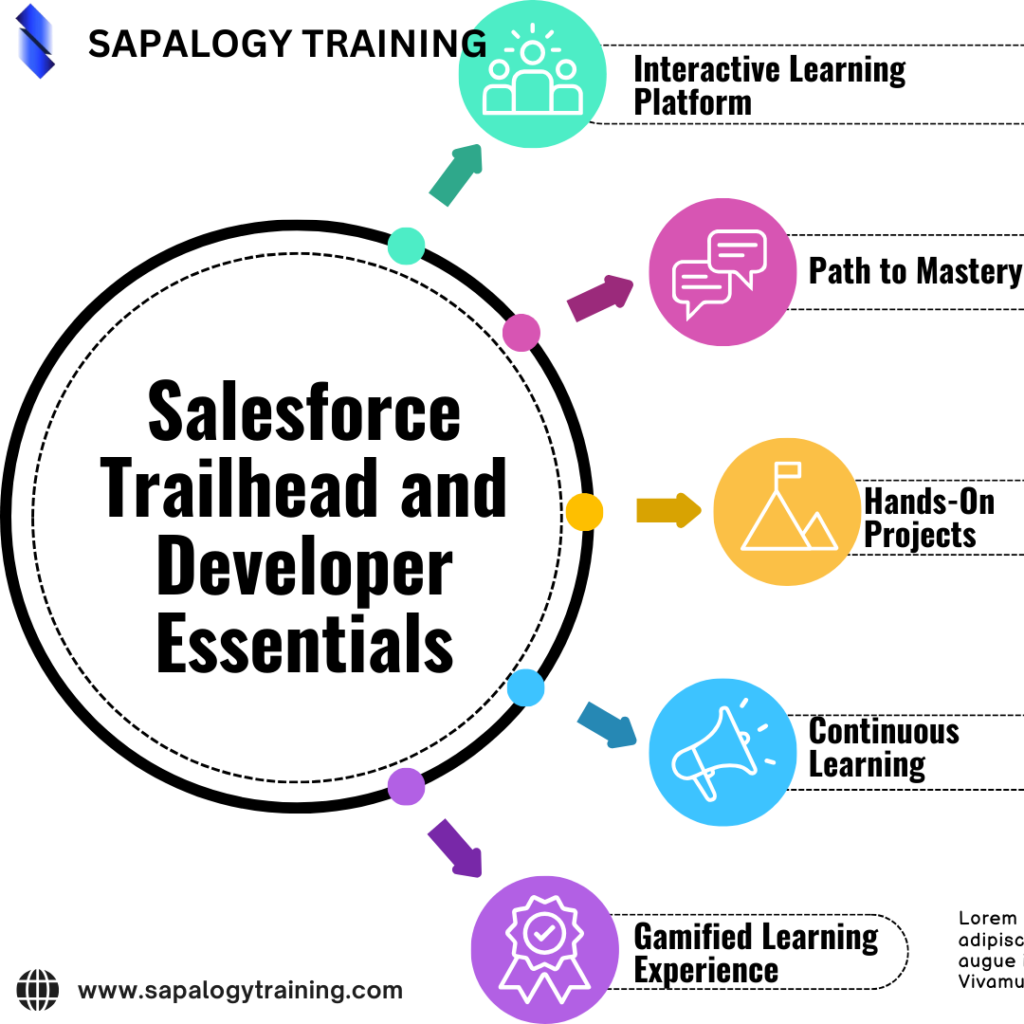 Best salesforce training 2024